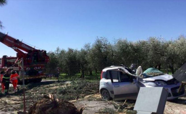 Guidonia, albero abbattuto su auto, un morto