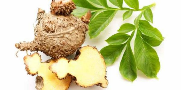 prodotti naturali per dimagrire
