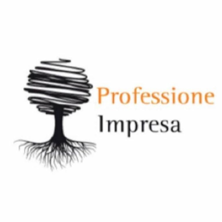 professione impresa
