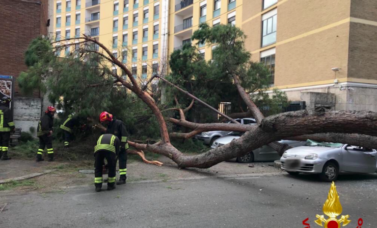 Roma, albero caduto per maltempo, due feriti
