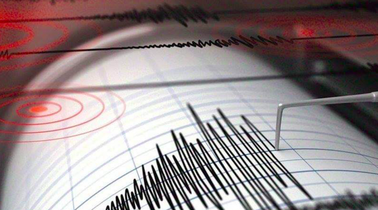 Terremoto in Turchia