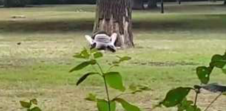 Berlino, rapporti nel parco