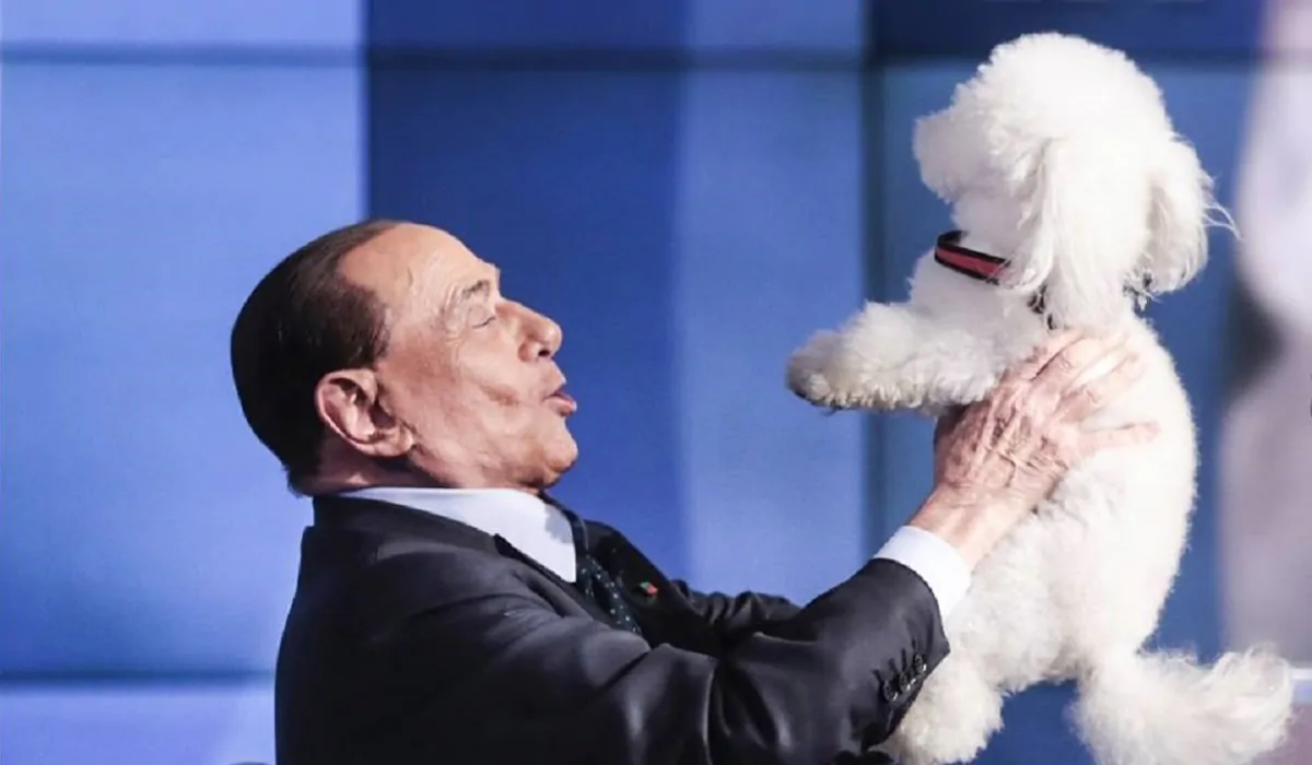 Berlusconi, la nuova vita: "Vivo e dormo con 9 cani"