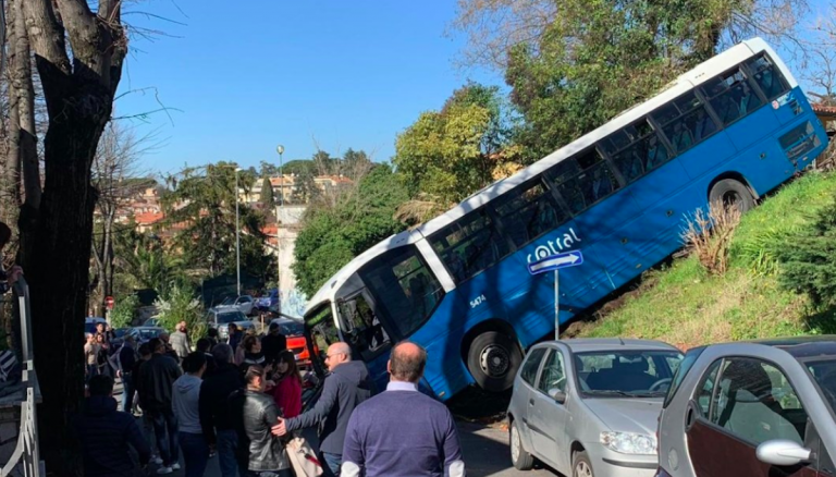 bus cotral