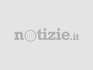 关于意大利和国际冲突的难以忽视的真相