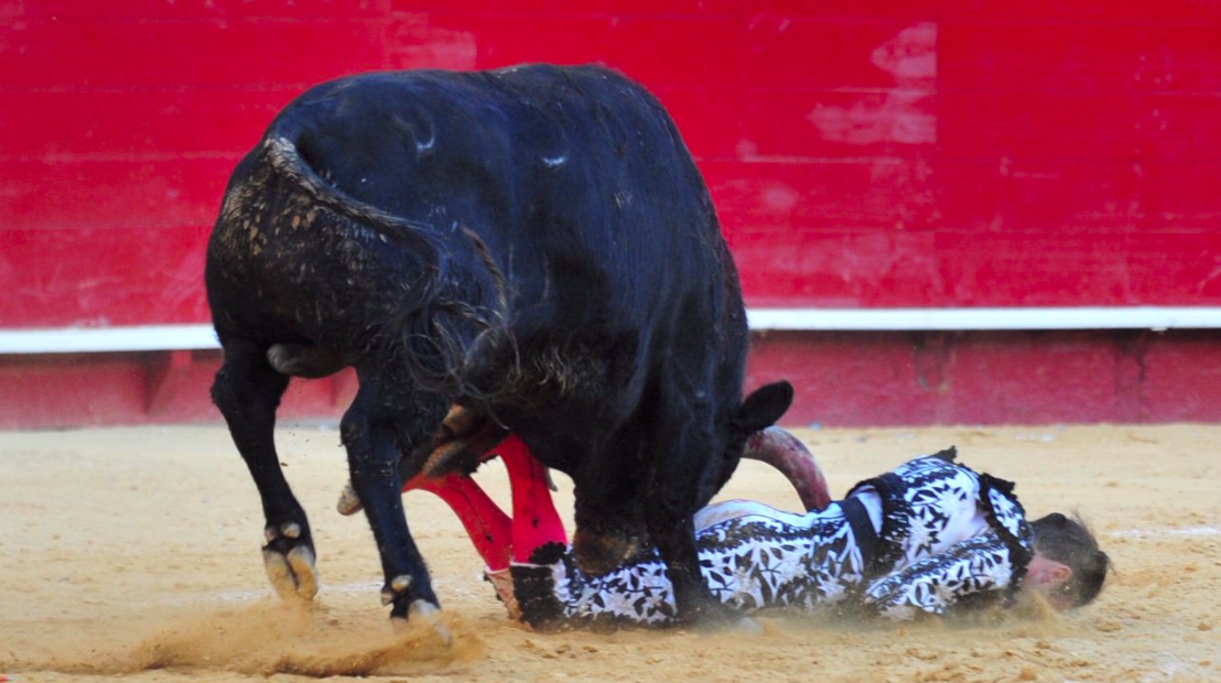 Enrique Ponce a terra