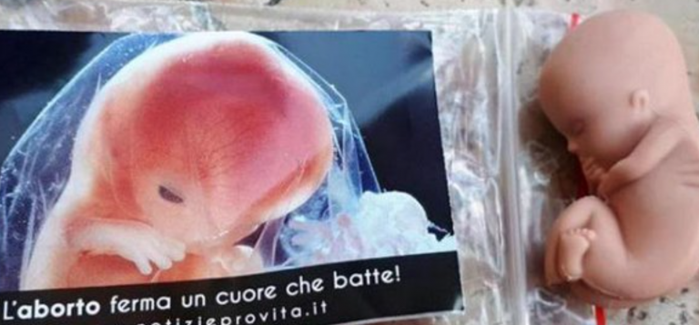 feto in plastica 768x357