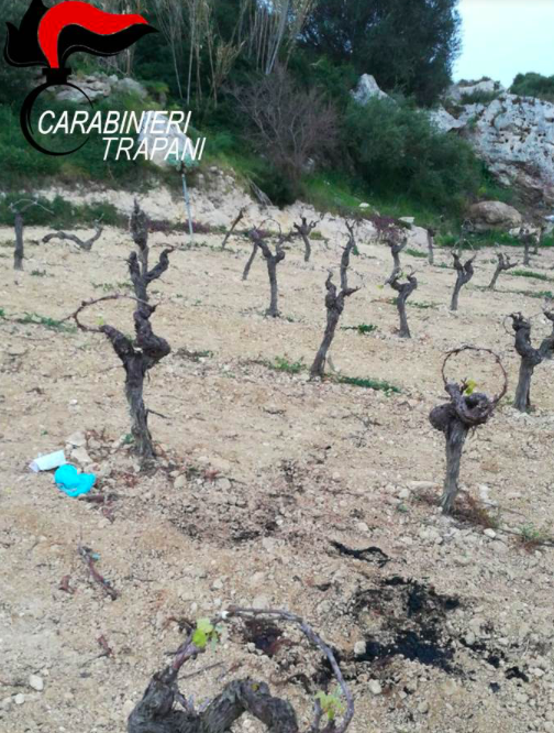 Il ritrovamento del cadavere