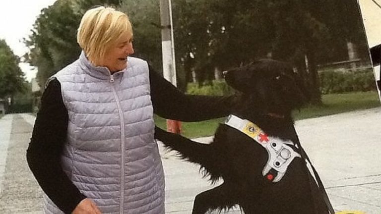Ipovedente minacciata sul bus "Faccia scendere il cane o la butto giù"