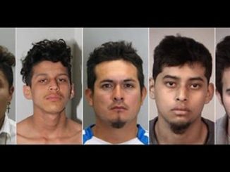 USA, esce dalla gang criminale: ucciso con 100 coltellate e bruciato