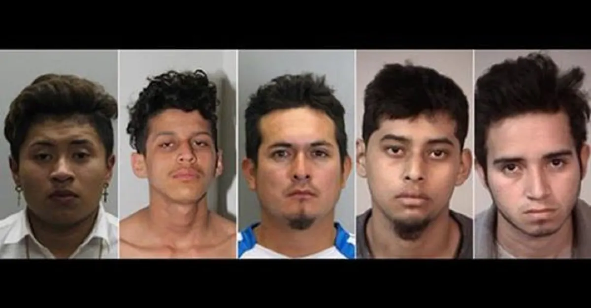 USA, esce dalla gang criminale: ucciso con 100 coltellate e bruciato