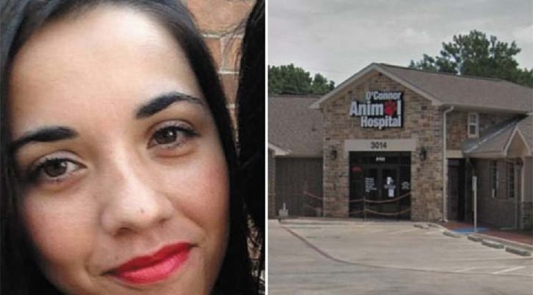 Texas, sbranata dai suoi due pitbull: morta mamma 33enne