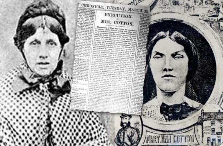 mary ann cotton