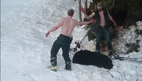 orso