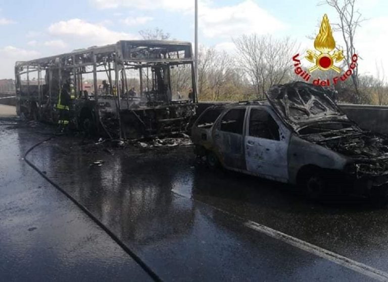 rami san donato cittadinanza 768x559