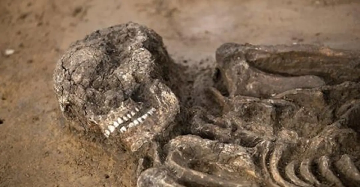 Germania, trovato scheletro di un uomo di 6500 anni fa: si chiama Fred