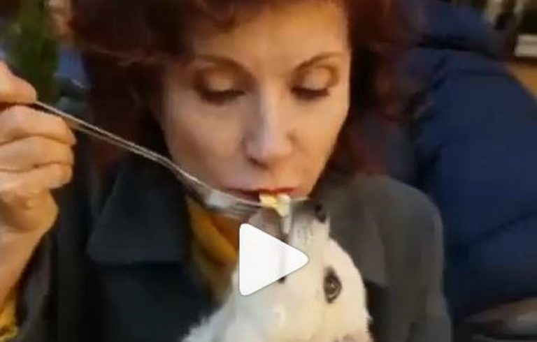 alda deusanio piatto cane