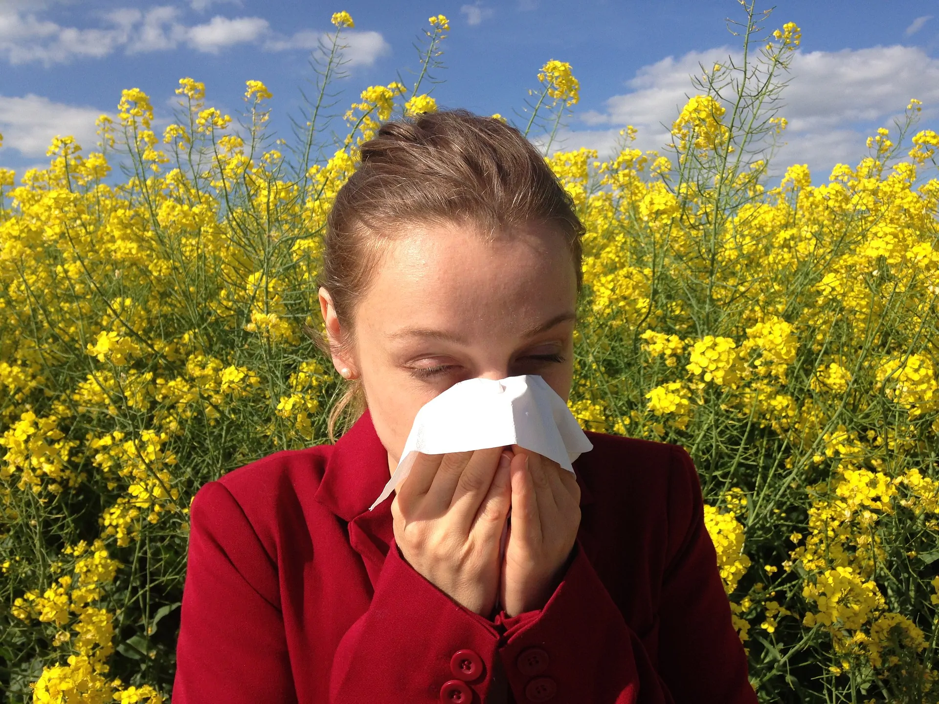 Allergia polline: le cause, i sintomi e il miglior rimedio naturale