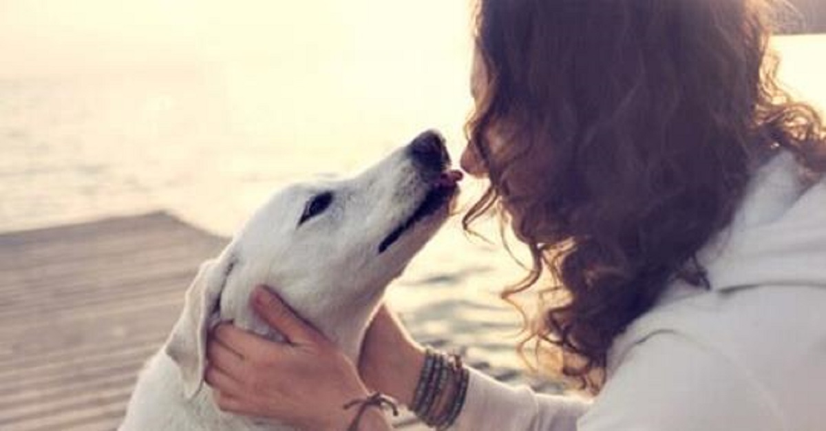 Rifiuti urbani e deiezioni canine parte operazione decoro per un paese migliore Prima Saronno Rifiuti urbani e deiezioni canine parte operazione decoro per un paese migliore Prima Saronno