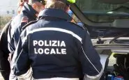 Milano, bimbo di 2 anni morso da un cane: interviene la polizia