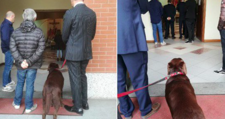 Cane al funerale del padrone