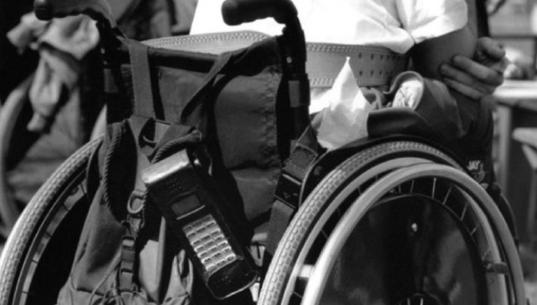 disabile gita