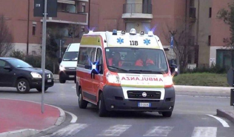 morta caserta