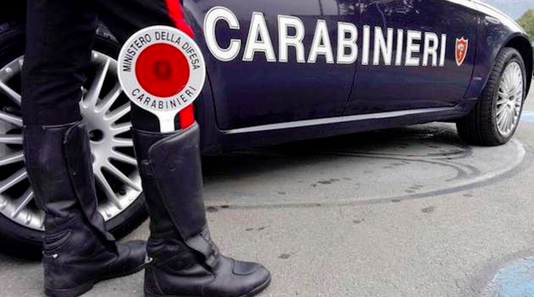 Pistoia, labrador sbrana cane