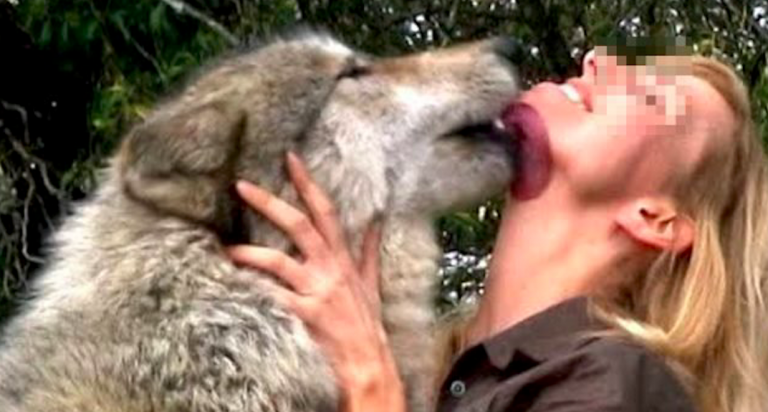 Rapporti cani grossa taglia