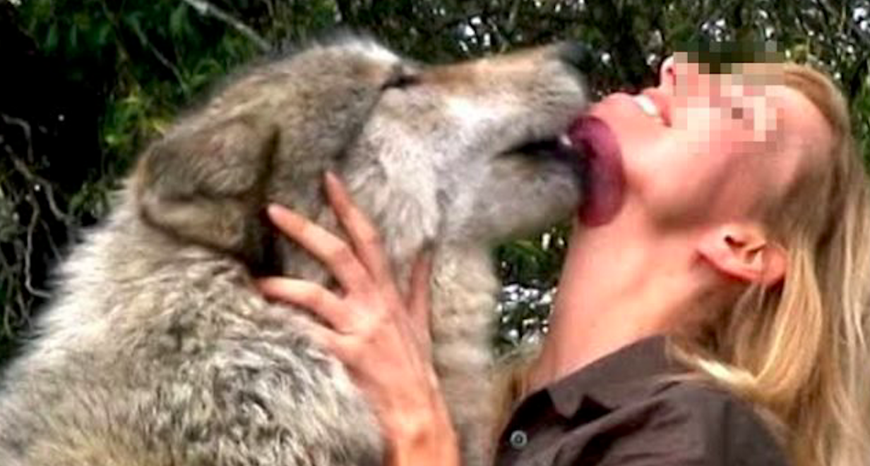 Donne cani sesso