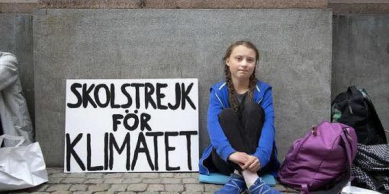 thunberg 1 768x384