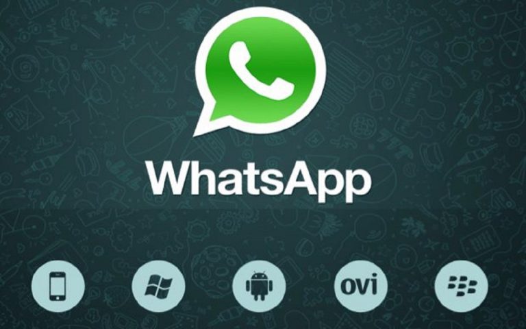grassetto whatsapp