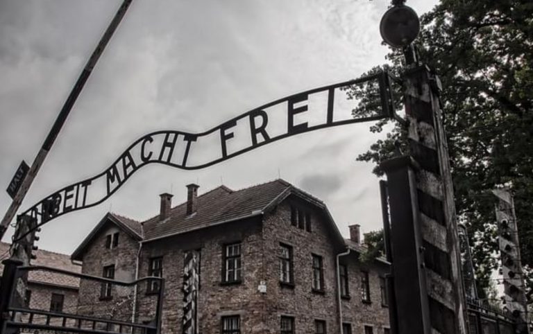 auschwitz 768x482