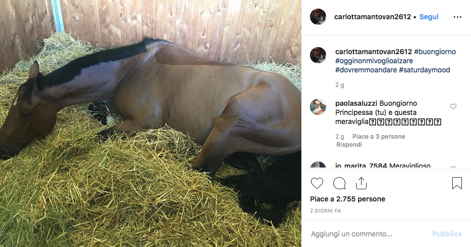 cavallo carlotta mantovan