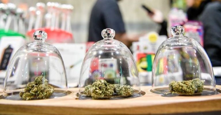 chiusura negozi cannabis class action