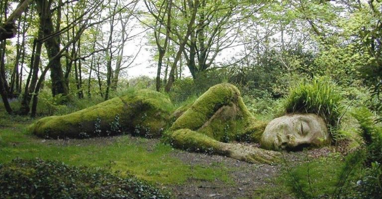 cornovaglia giardini perduti heligan