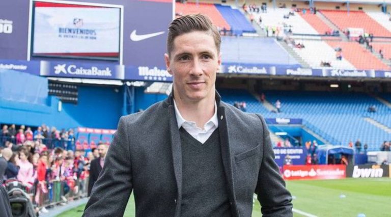 fernando torres