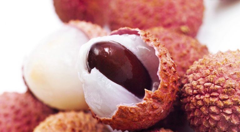 Encefalite, strage di bimbi in India: la causa è un frutto tropicale Encefalite, strage di bimbi in India: la causa è un frutto tropicale