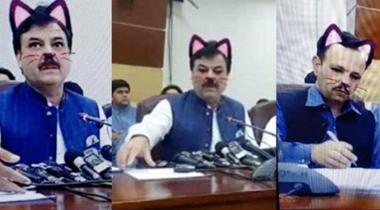 ministro gatto