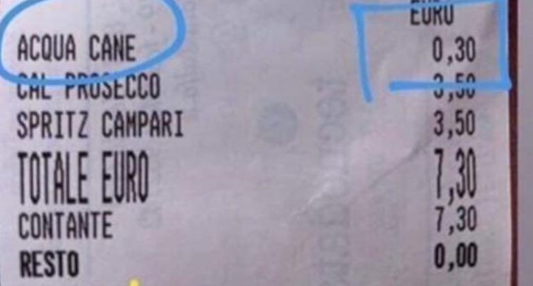 acqua per cane jesolo