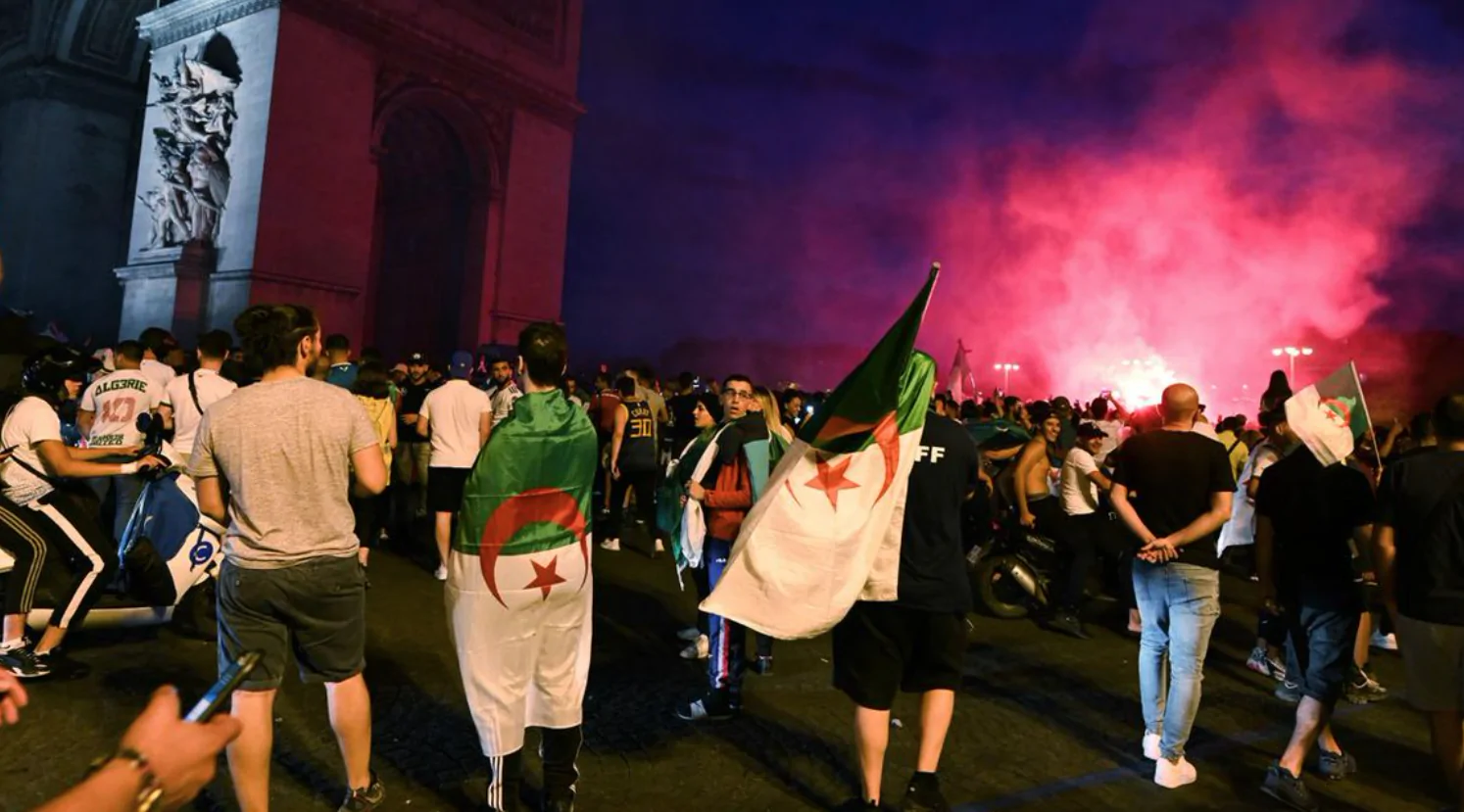 algeria tifosi