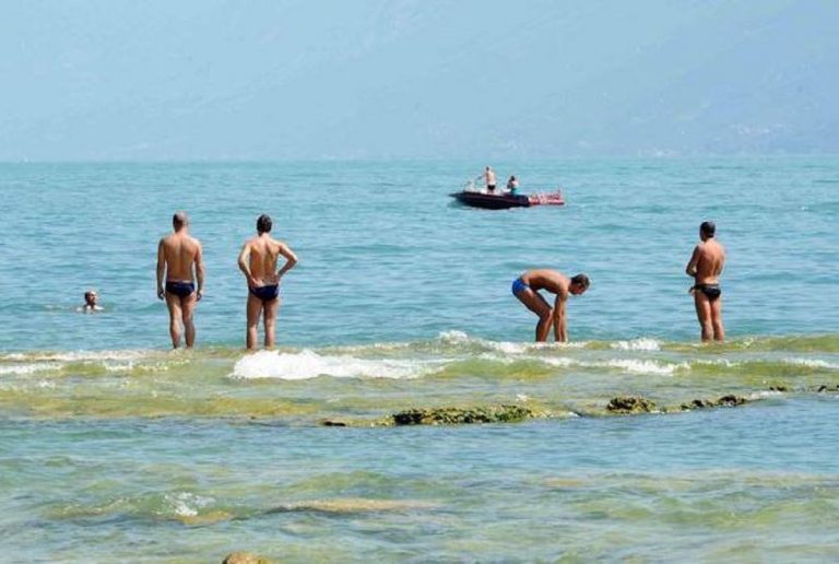 Batteri fecali Versilia