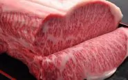 carne giapponese