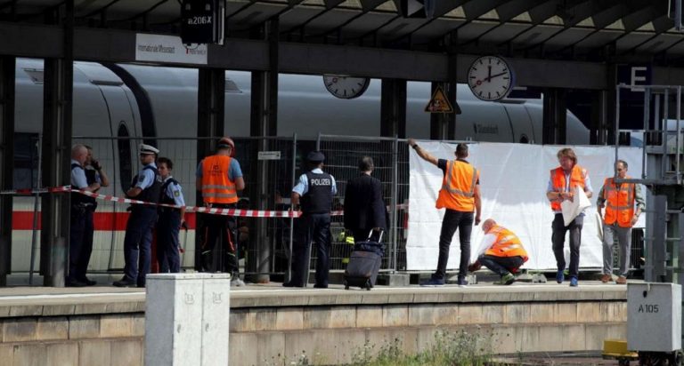 francoforte bimbo treno