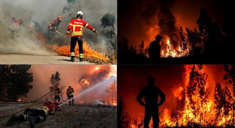 incendio portogallo