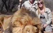 leone ucciso