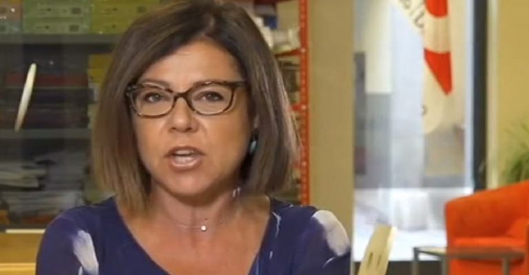 paola de micheli contro salvini