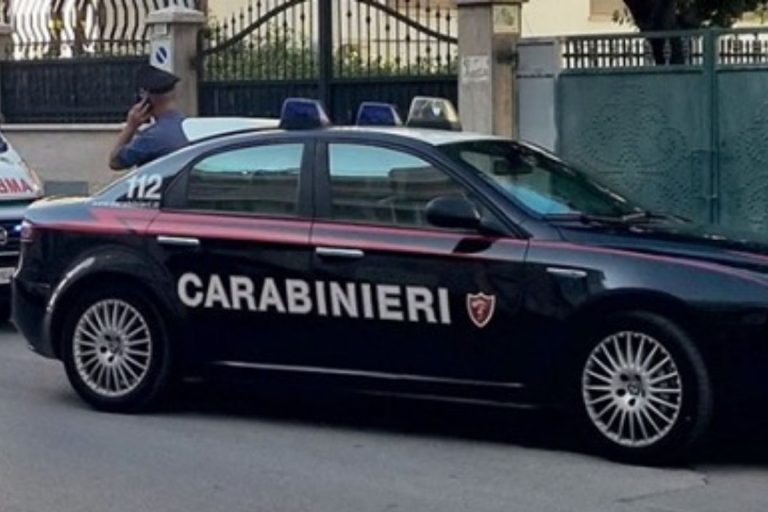 pesaro lite