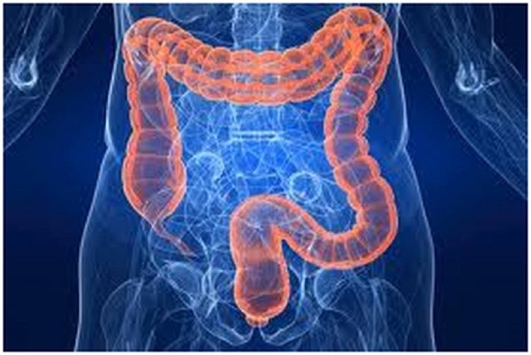 Sangue nelle feci: le cause e i sintomi