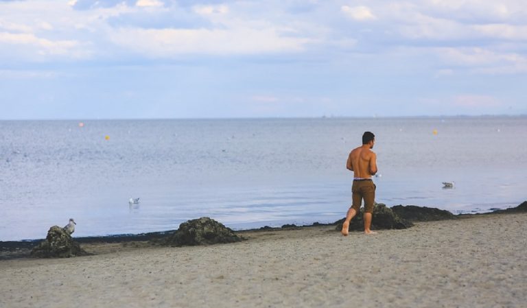 torso nudo